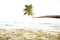 Tropical Beach Peaceful Vacations Summer Concept