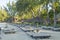 Tropical beach resort with  casuarina plants in background.