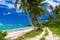 Tropical beach on Samoa Island with palm trees and road