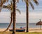 Tropical beach scene with palm trees and calm ocean.