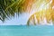 Tropical beach sea with coconut palm tree sunlight ocean on the summer blue sky and islands / Vacation holidays background