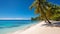 Tropical beach and sea with palm trees in tranquil natural setting