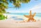 Tropical beach with sea star on sand, summer holiday background.