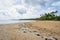 Tropical beach with seaweed