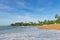 Tropical beach with ships and palm trees. Two dogs play on the shore. Turquoise sea with a low tide