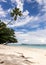 Tropical beach on Silhouette island, Seychelles