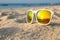 Tropical Beach Sunglasses