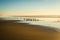 Tropical beach sunset and flock of seagulls. Golden and turquoise blue colors