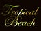 Tropical beach. Text with curls of palm leaves. Beautiful writing on a black background. Vector