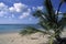 Tropical beach in Tobago