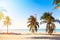 The tropical beach of Varadero in Cuba with sailboats and palm trees on a summer day sunset with turquoise water. Vacation