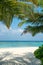 Tropical beautiful landscape vertical view of sandy white beach and blue ocean