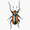 Tropical Beetle Insect Arthropod Variation 2 Isolated, Transparent Background