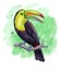 Tropical bird,big bright toucan sitting on a branch on a green background.Watercolor illustration