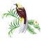 Tropical bird with plant print wallpaper