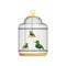 Tropical birds in antique hanging cell. Beautiful feathered creatures. Concept of domestic animals. People keep pets