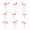 Tropical birds collection. Pink flamingos set. Fashion summer print bundle. Elements for invitation card and your