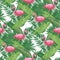 Tropical birds pink flamingo exotic flowers bird of paradise palm leaves - white background
