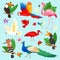 Tropical birds vector exotic parrot or flamingo and peacock with palm leaves illustration set of fashion birdie ibis or