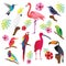 Tropical birds vector illustration collection set. Colorful and exotic nature. Parrot, toucan, flamingo and other flying creatures