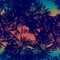 Tropical blue foliage on ombre sunset gradient