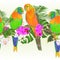 Tropical border seamless background Sun Conure Parrots tropical birds standing on a branch white and purple orchid Phalaenopsis