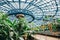 Tropical botanical garden at Seoul grand park zoo in Gwacheon, Korea