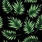 Tropical botany palm leaves watercolor drawing seamless pattern.