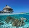 Tropical bungalow coral reef and turtle underwater