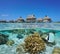 Tropical bungalows and fish with coral underwater