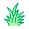 Tropical bush icon vector outline symbol illustration