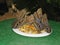 Tropical butterflies eating fresh fruit