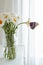 tropical butterfly Morpho sits on a white flower in a bouquet of large daisies and gerberas on a white background, macro