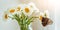 tropical butterfly Morpho sits on a white flower in a bouquet of large daisies and gerberas on a white background, macro