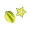 Tropical carambola. Star fruit hand drawn watercolor illustration on white background