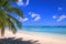 Tropical caribbean beach with sailboats and boat, Punta Cana, Dominican Republic