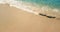 Tropical caribbean beach sea with gold sand, holiday, relax and travel