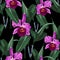 Tropical Cattleya orchid flowers on black background. Seamless pattern. Jungle foliage illustration.