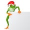 Tropical Christmas frog