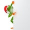 Tropical Christmas frog