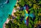 tropical coast top view. beautiful parrot flies over the island.