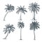 Tropical coconut palm trees set. Vector sketch illustration. Hand drawn tropical plants and floral design elements