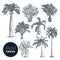 Tropical coconut palm trees set. Vector sketch illustration. Hand drawn tropical plants and floral design elements