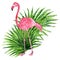 Tropical collage with leaves and pink flamingo