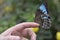 Tropical colorful butterfly closeup picture on a hand.