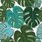 Tropical colorful monstera leaves background. Hand drawn tropic leaf repeated pattern