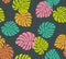 Tropical colorful monstera leaves seamless pattern