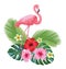 Tropical composition and flamingo. Vector illustration.