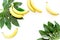 Tropical concept. Lush leaves and ripe bananas on white background top view copyspace