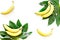 Tropical concept. Lush leaves and ripe bananas on white background top view copyspace